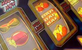 Casino Roy Spins